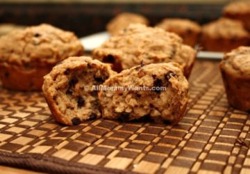 Oatmeal Peanut Butter Chocolate Chip Muffins – 4 Weight Watchers Freestyle Points Each