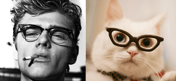 25 Cats That Can Be Male Models (or Celebrities)