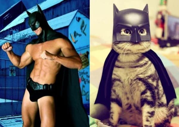 25 Cats That Can Be Male Models (or Celebrities)