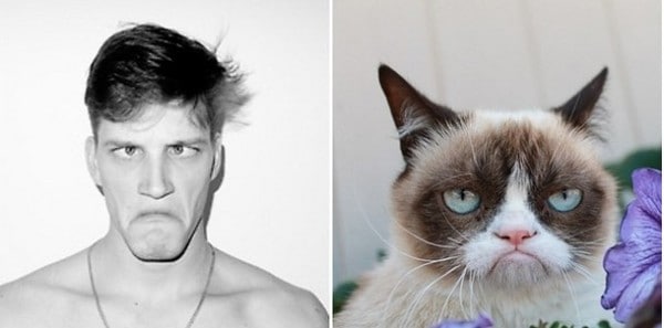 25 Cats That Can Be Male Models (or Celebrities)