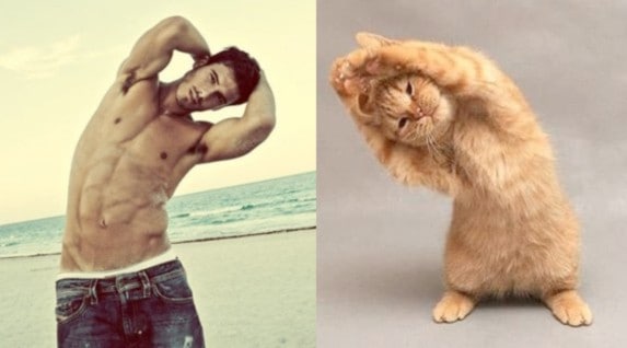 25 Cats That Can Be Male Models (or Celebrities)