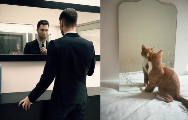 25 Cats That Can Be Male Models (or Celebrities)