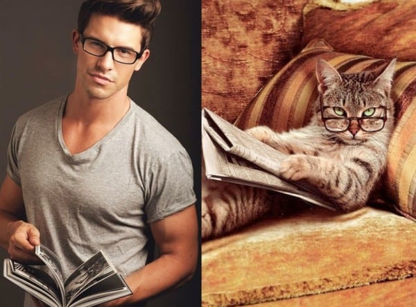 25 Cats That Can Be Male Models (or Celebrities)