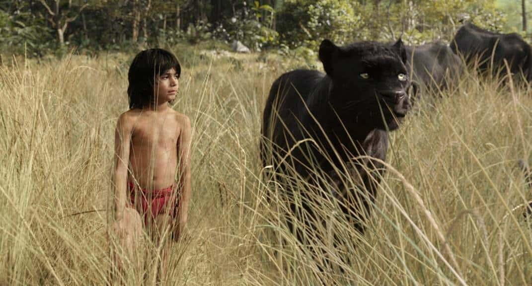 New: The Jungle Book: Movie Trailer! Starring Bill Murray, In Theaters April 2016