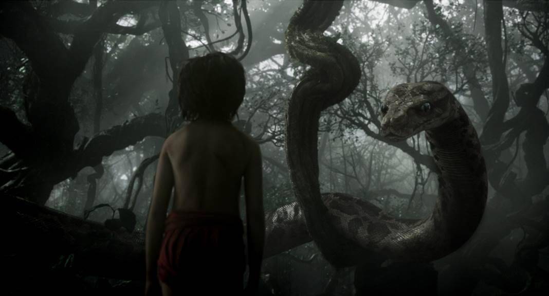 New: The Jungle Book: Movie Trailer! Starring Bill Murray, In Theaters April 2016