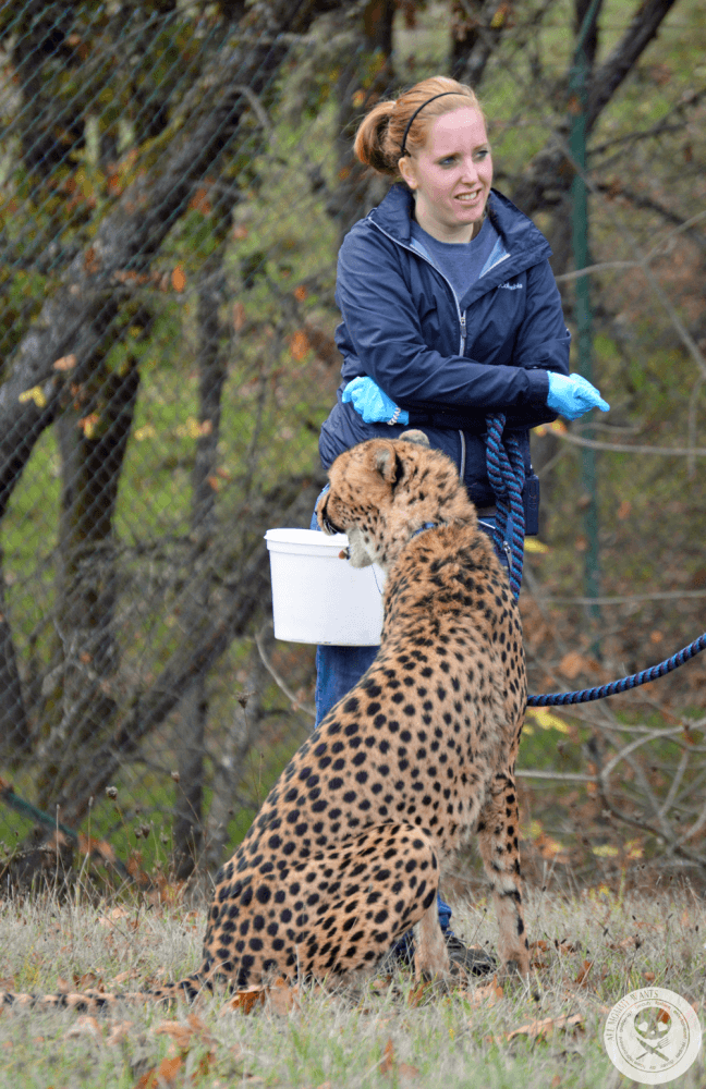 Wildlife Safari, Winston Oregon In Photos