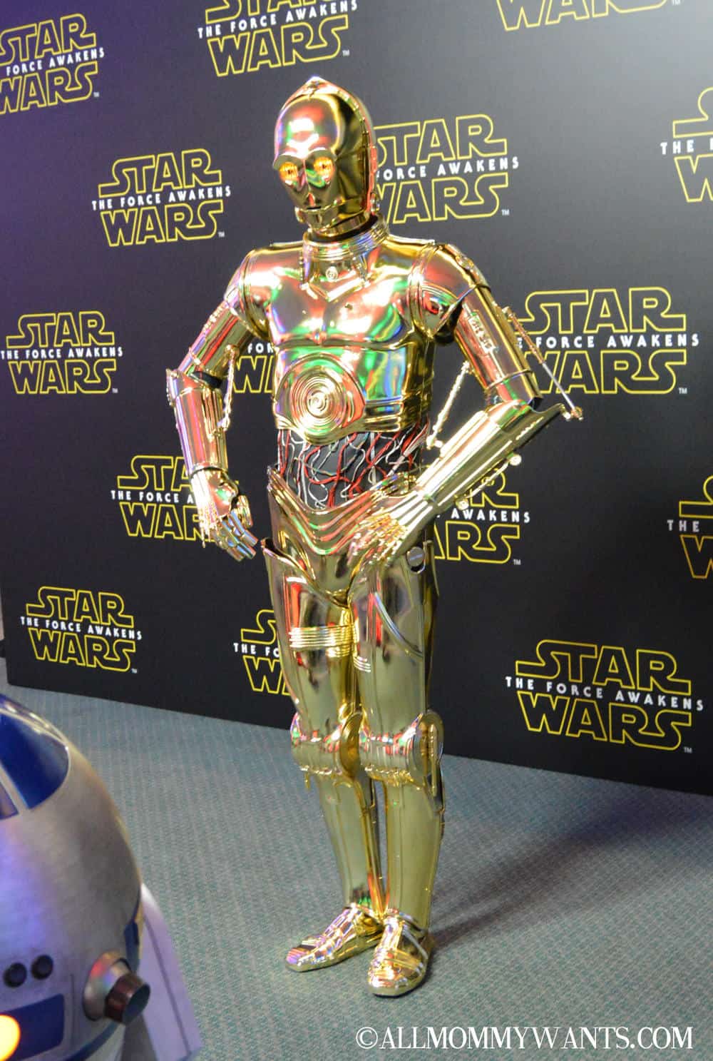 Star Wars: The Force Awakens Global Press Event In Photos