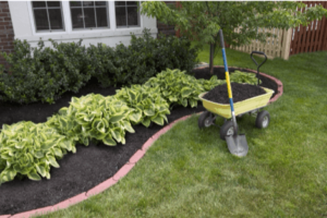 Tips For A Successful Backyard Makeover