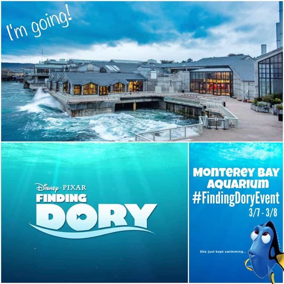 Follow Me As I Head To Monterey Bay Aquarium For A Special Finding Dory