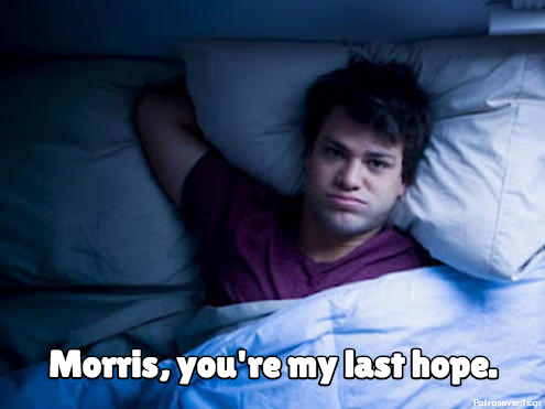 Sleep Advice From Morris The Cat & 9lives