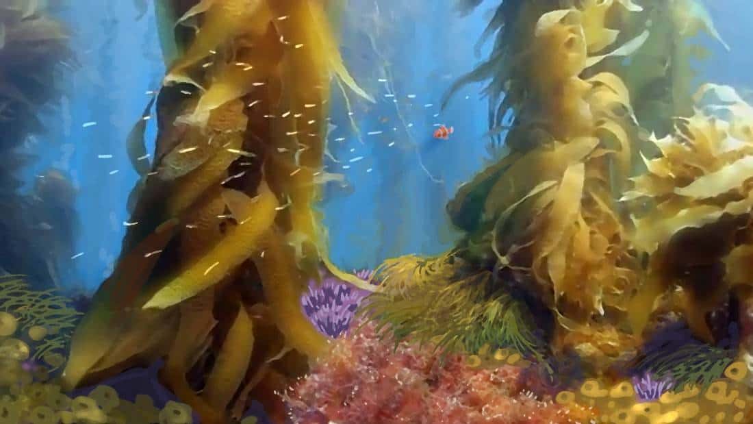 Have Your Seen Her? Finding Dory: Dory’s Story Told By Creators Angus Maclane And Max Brace