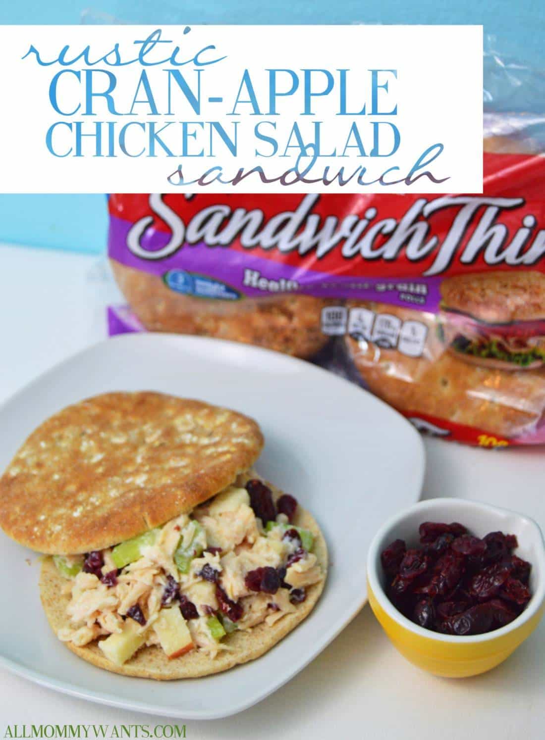 Recipe: Cran-apple Chicken Salad Sandwich