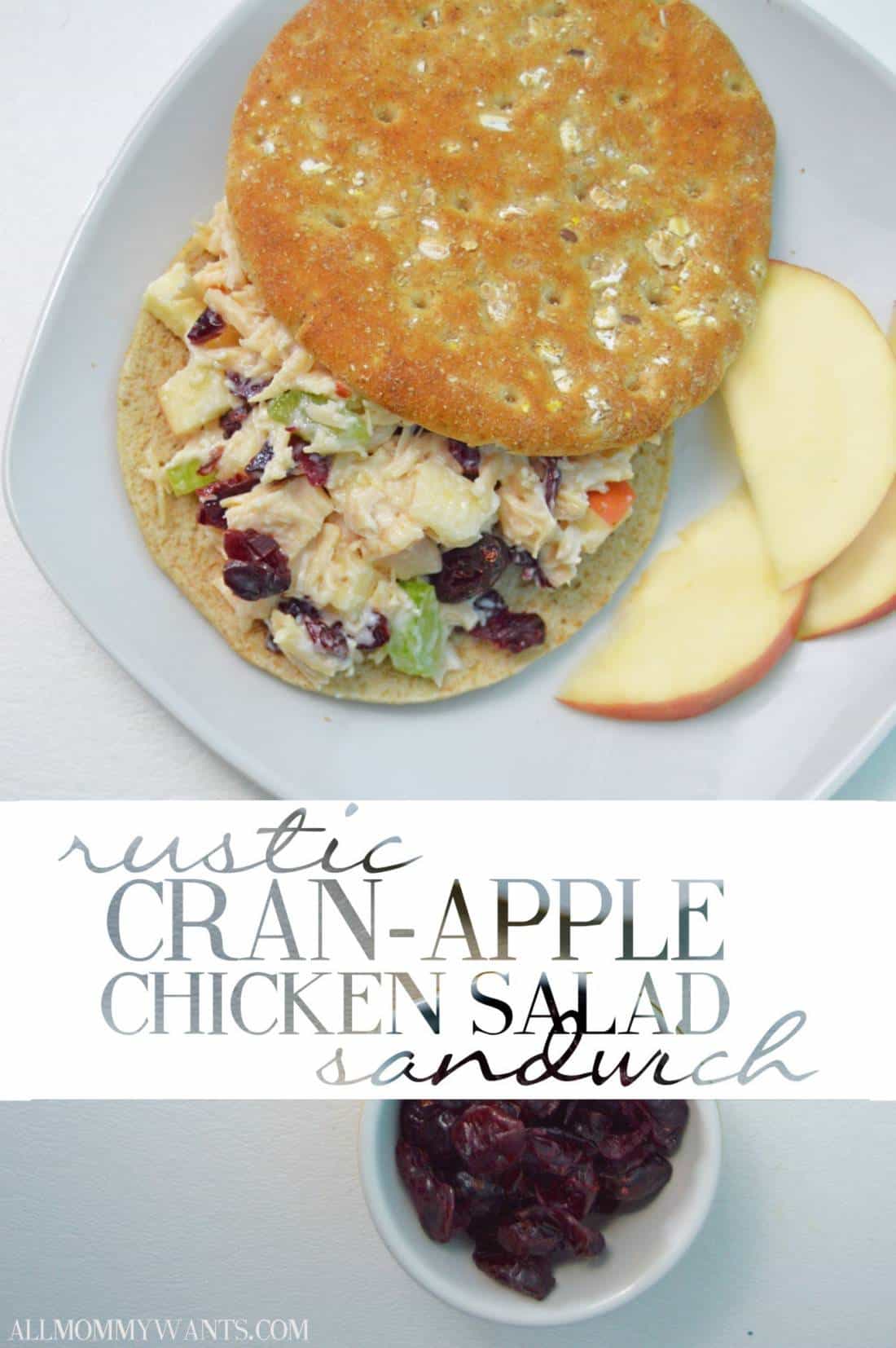 Recipe: Cran-apple Chicken Salad Sandwich