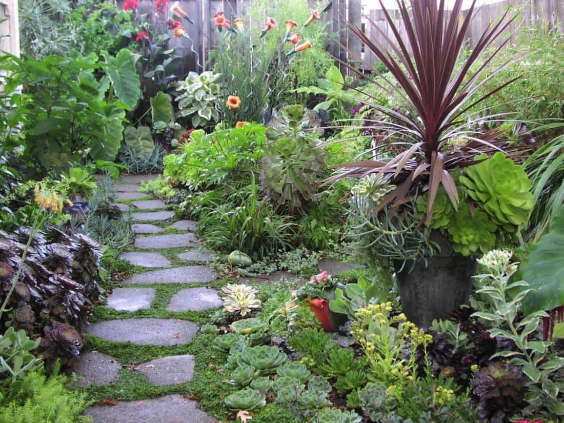 Home-garden-with-path-walk-steps