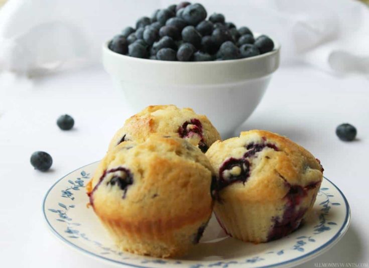 Recipe: Quick And Easy Blueberry Muffins