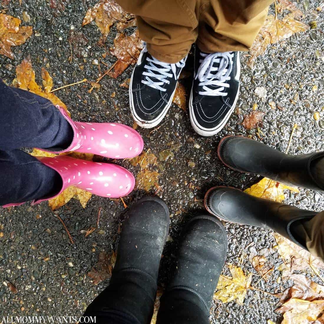 Hiding Treasures At Multnomah Falls, Oregon