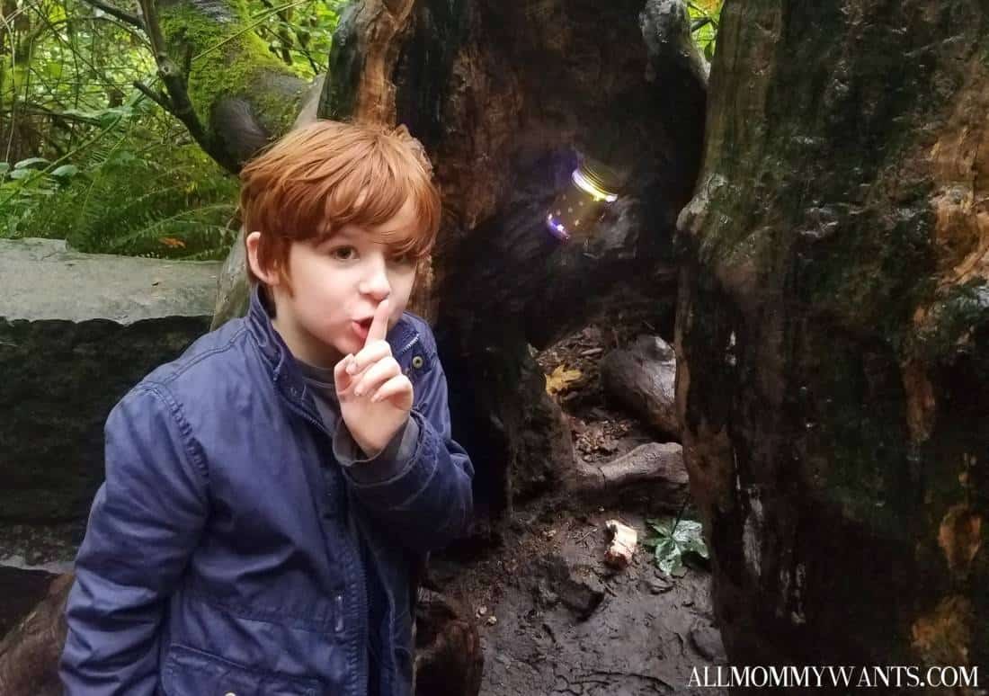 Hiding Treasures At Multnomah Falls, Oregon