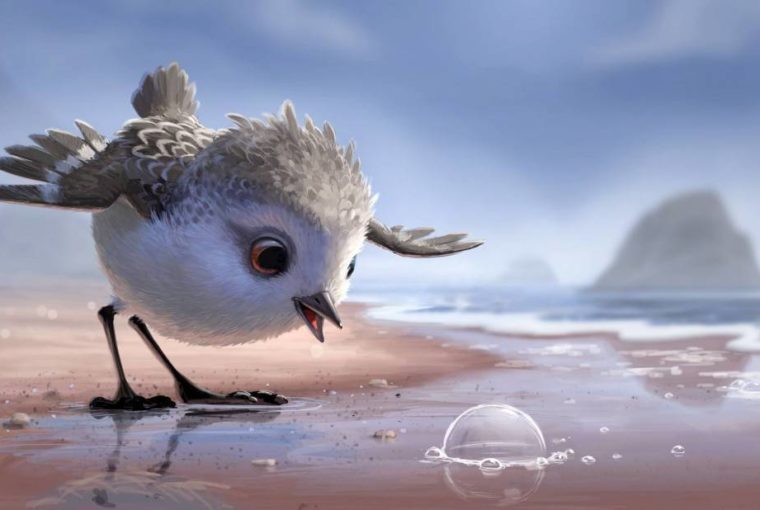 Meet The Adorable Bird From Disney Short “piper”