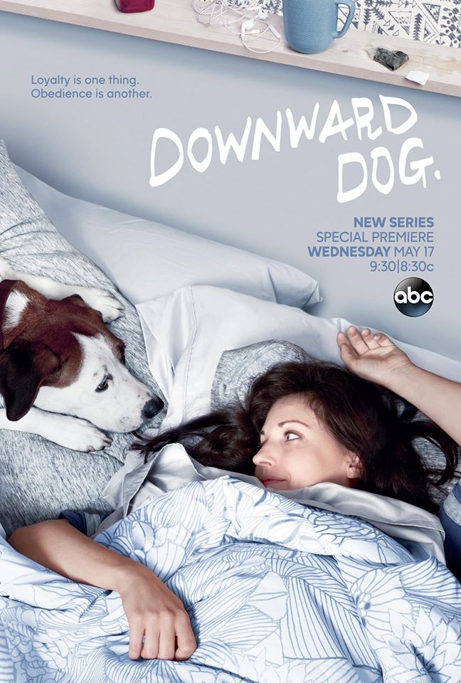 5 Things You Should Know About Abc’s New ‘downward Dog’