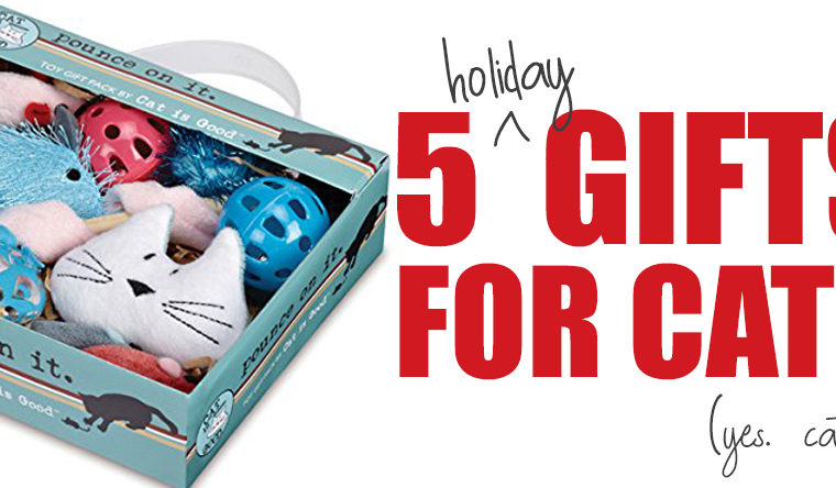 5 Holiday Gifts For Cats