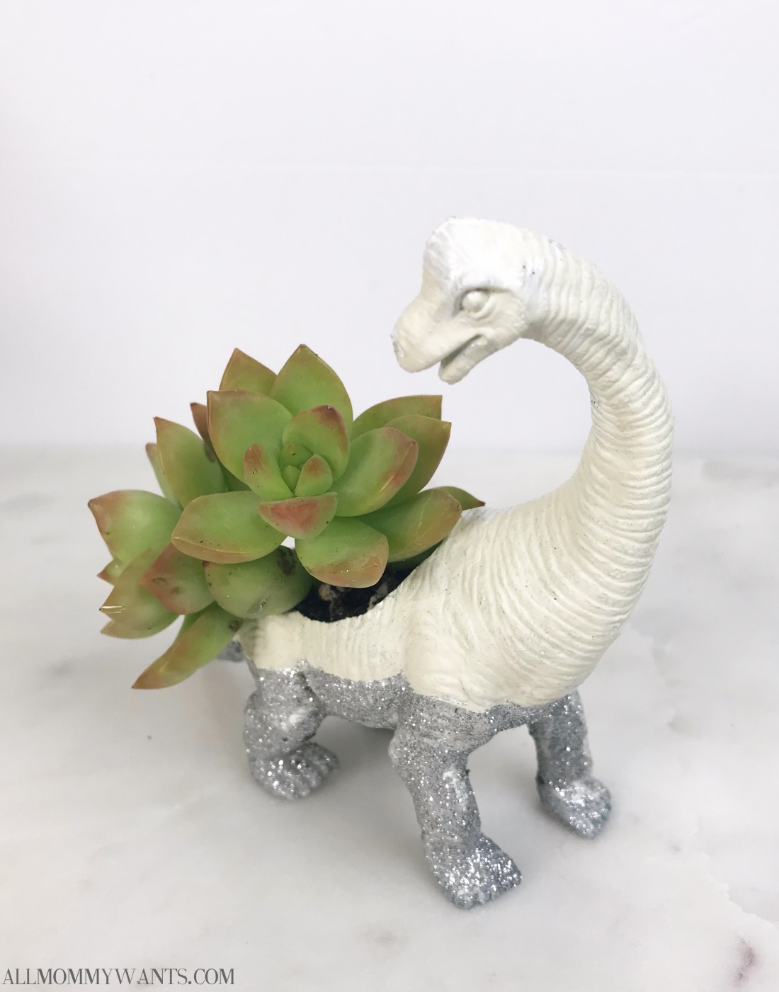 OMG! The Cutest DIY Succulent Dollar Tree Craft - Life She Has