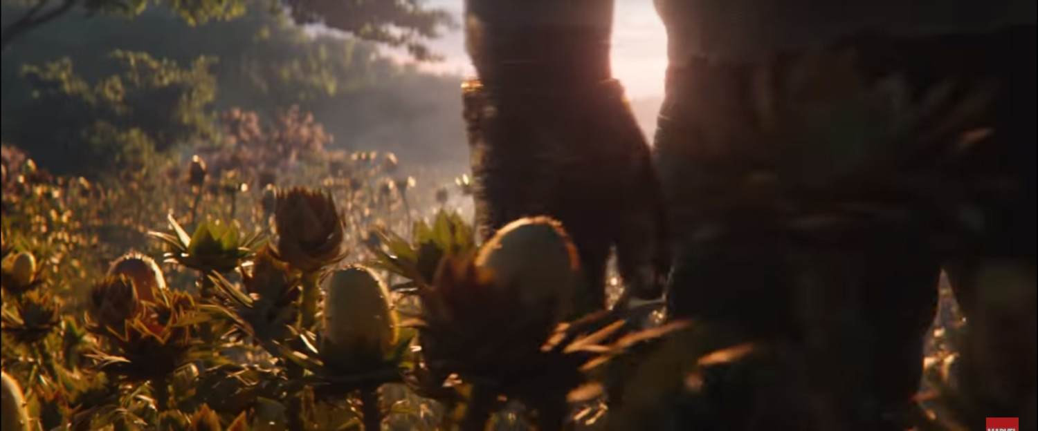 10 Blink-and-you’ll-miss-it Things In The New Avengers: Endgame Trailer