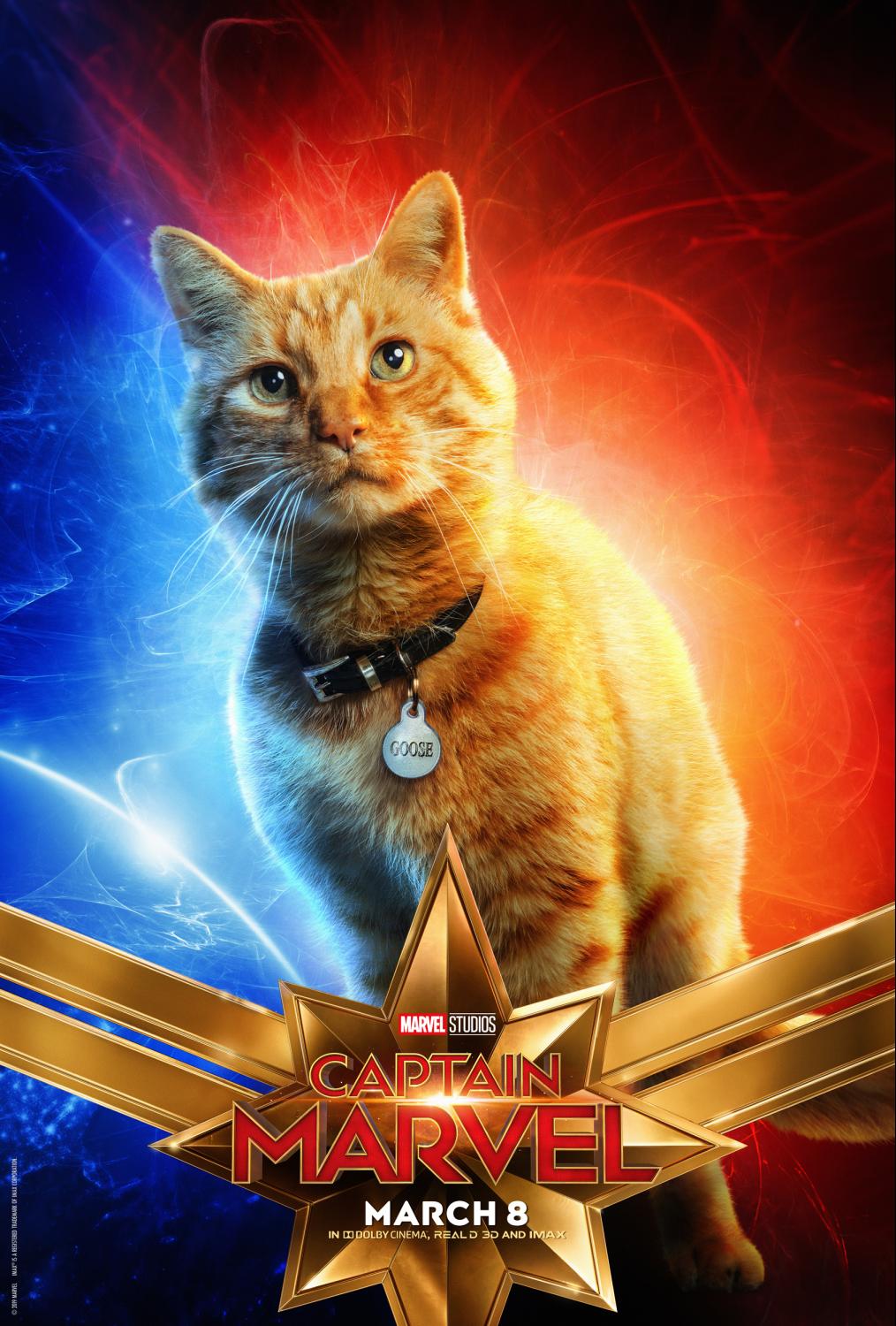 Captain Marvel’s Cat Gets His Own Character Poster (see Them All Here)