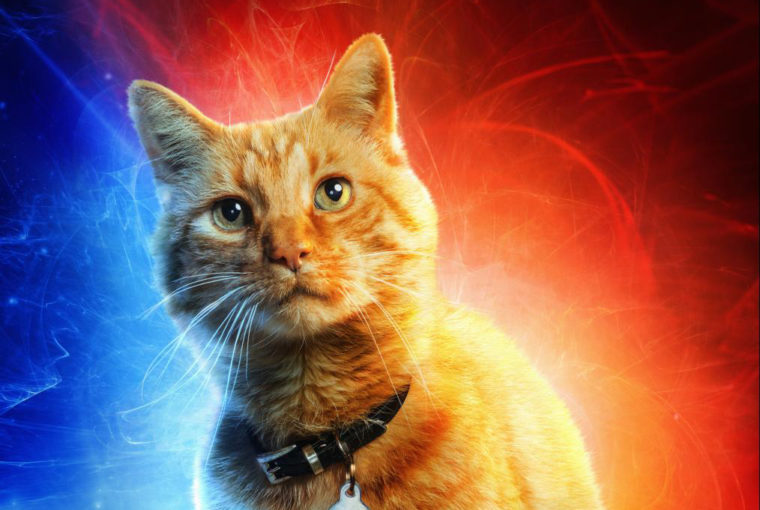 Captain Marvel’s Cat Gets His Own Character Poster (see Them All Here)