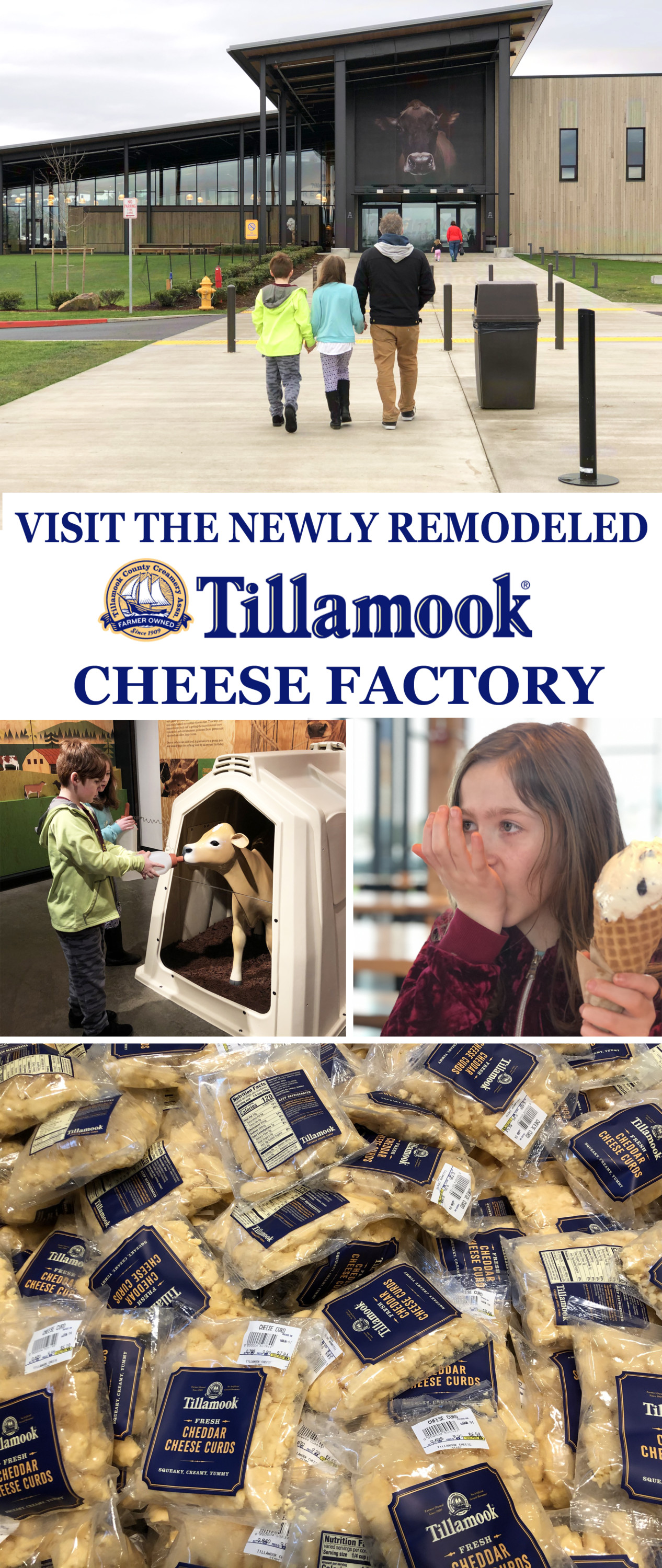 Newly Remodeled Tillamook Creamery Is A Must For Portandians And Visitors Alike