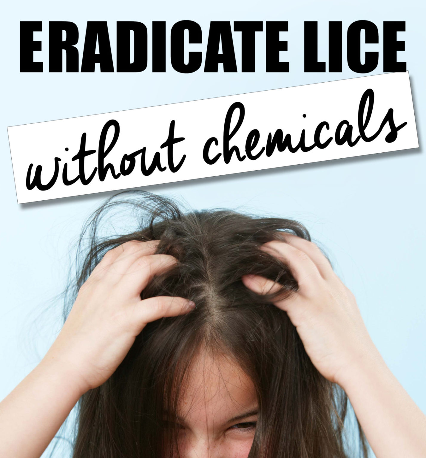 Effectively Get Rid of Super Lice Without Chemicals Life She Has