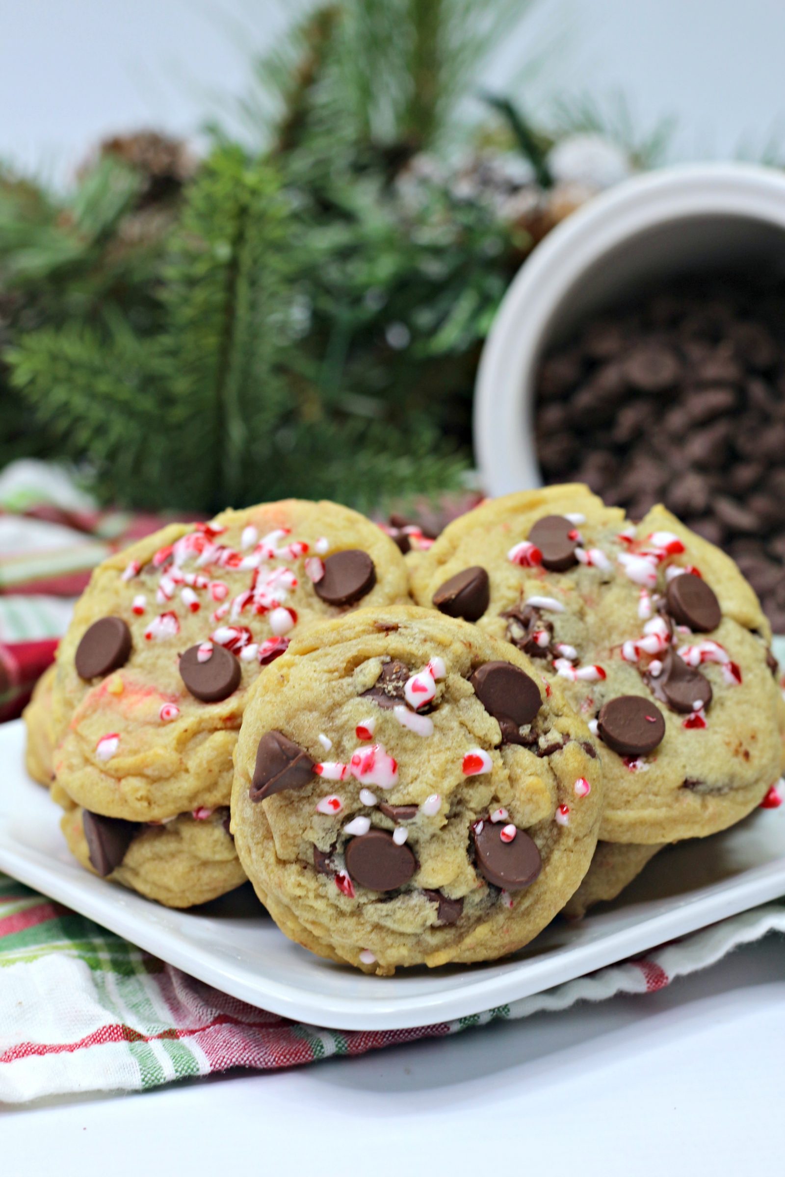 Chocolate Chip Candy Cane Cookies Life She Has