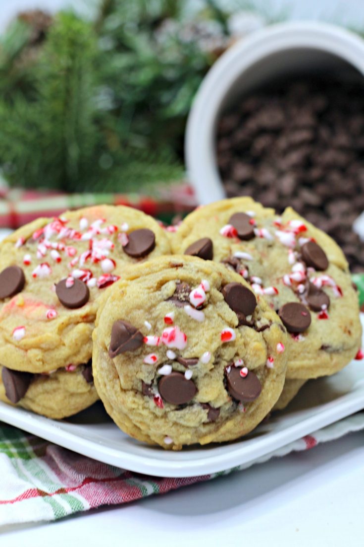 Chocolate Chip Candy Cane Cookies