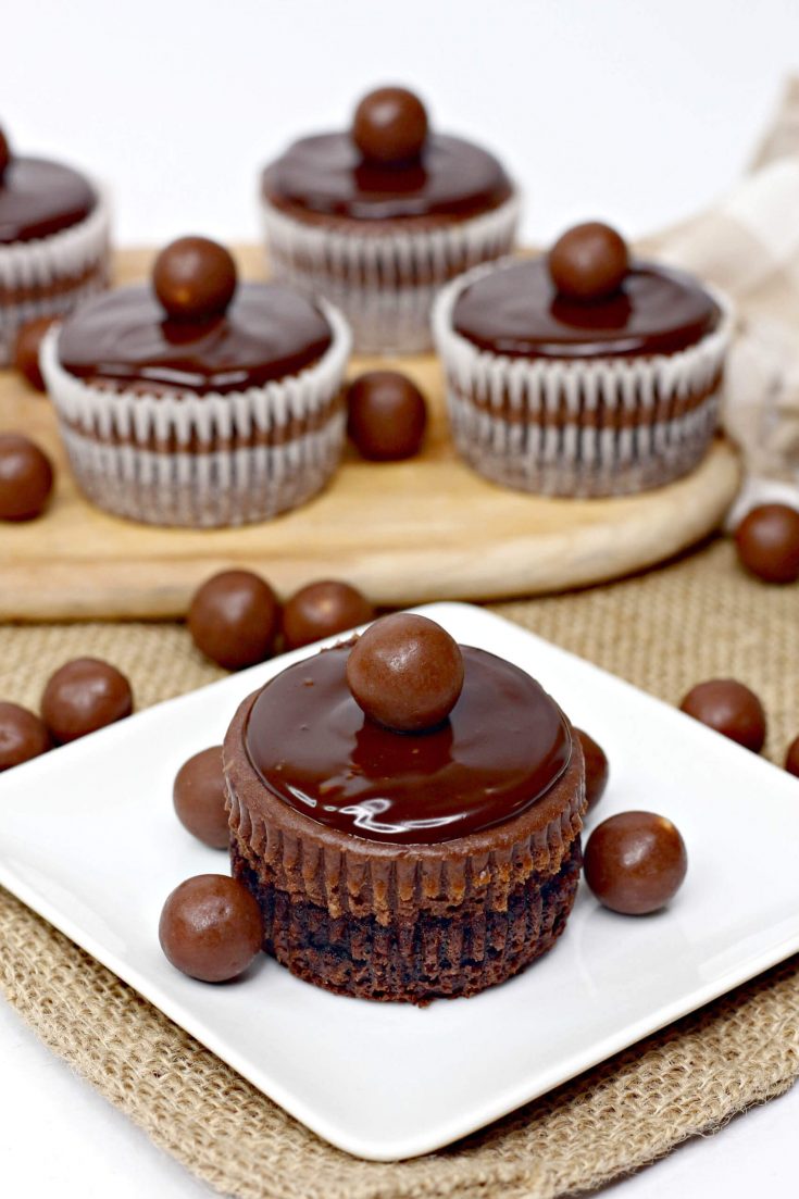 triple choc mini cheesecake 1 3