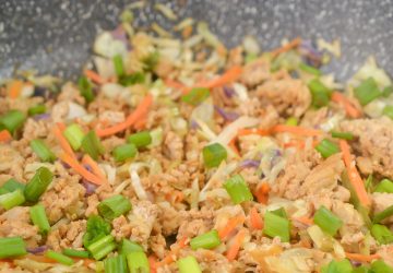 Weight Watcher’s Egg Roll in a Bowl